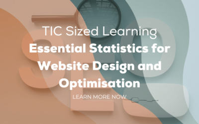 Essential Statistics for Website Design and Optimisation